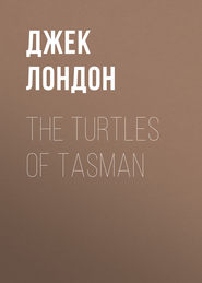 The Turtles of Tasman