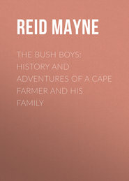 The Bush Boys: History and Adventures of a Cape Farmer and his Family
