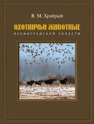 Охотничьи животные Ленинградской области