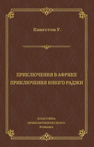 Приключения в Африке. Приключения юного раджи (сборник)