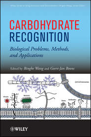 Carbohydrate Recognition. Biological Problems, Methods, and Applications