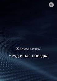 Неудачная поездка