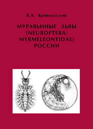 Муравьиные львы (Neuroptera: Myrmeleontidae) России