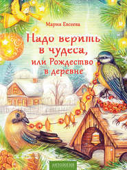 Надо верить в чудеса, или Рождество в деревне