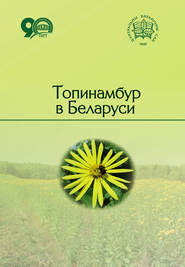 Топинамбур в Беларуси