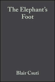 The Elephant's Foot