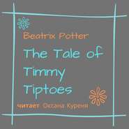 The Tale of Timmy Tiptoes