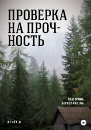 Проверка на прочность