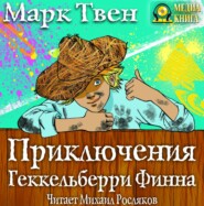 Приключения Гекельберри Финна