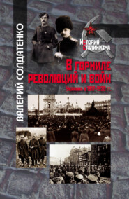 В горниле революций и войн: Украина в 1917-1920 гг. историко-историографические эссе