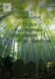 Магия бессмертия. Неизданное-11. Выход за пределы