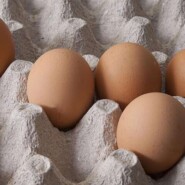 Минпромторг предложил поднять цены на яйца