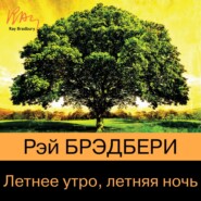 Летнее утро, летняя ночь (сборник)