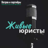 Дмитрий Зипунников: Юридическая компания «Консул и Рубикон», г. Волгоград: прямой эфир с юрфирмой Ветров и партнеры