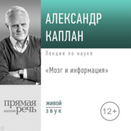 Лекция «Мозг и информация»