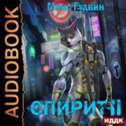 СПИРИТ. Книга 2