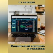 Финансовый контроль в компании