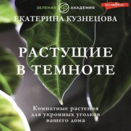 Растущие в темноте. Комнатные растения для укромных уголков вашего дома