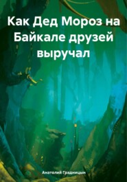 Как Дед Мороз на Байкале друзей выручал