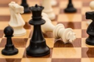 Гроссмейстер Никита Мешков: шах и мат коронавирусу