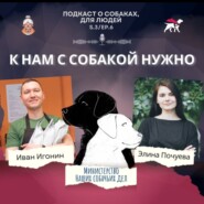 «Бабушка Бобра»: в кофейню с собакой