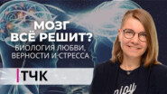 Ирина Якутенко. Биология любви, верности и стресса