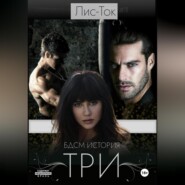 БДСМ история: ТРИ