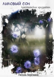 Лиловый сон крестьянских хризантем