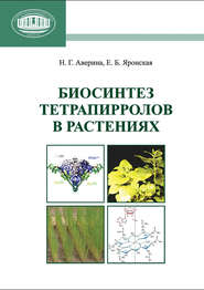Биосинтез тетрапирролов в растениях