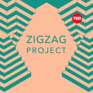 Bonus Episode: ZigZag - The Pulse