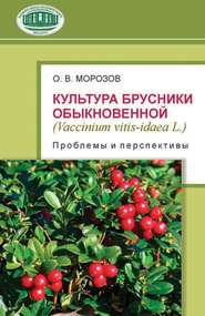 Культура брусники обыкновенной (Vaccinium vitis-idaea L.): проблемы и перспективы