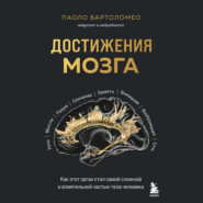 Достижения мозга. Как этот орган стал самой сложной и влиятельной частью тела человека