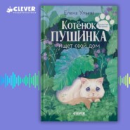 Котенок Пушинка ищет свой дом