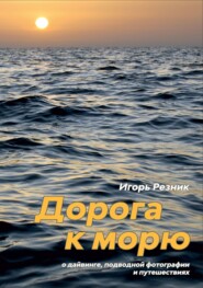 Дорога к морю. О дайвинге, подводной фотографии и путешествиях