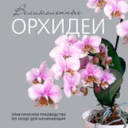 Великолепные орхидеи. Практичное руководство по уходу для начинающих