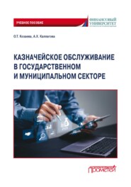 Казначейское обслуживание в государственном и муниципальном секторе