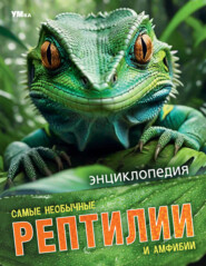Самые необычные рептилии и амфибии