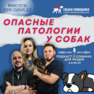 Заболевания и патологии у животных. Главные опасности и способы профилактики.