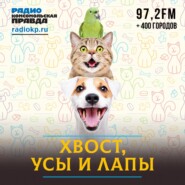 Как совместить свободу животных и права человека