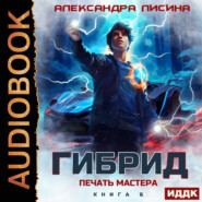 Гибрид. Книга 6. Печать мастера