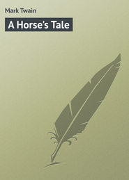 A Horse's Tale