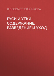 Гуси и утки. Содержание, разведение и уход