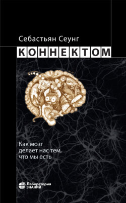 Коннектом. Как мозг делает нас тем, что мы есть