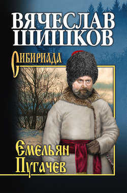 Емельян Пугачев. Книга третья