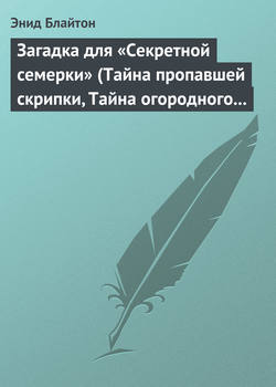 Загадка для «Секретной семерки» (Тайна пропавшей скрипки, Тайна огородного пугала)