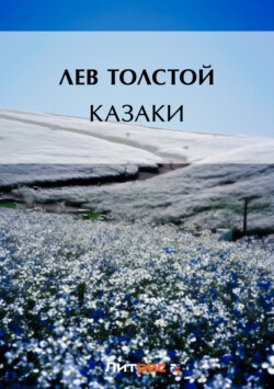 Казаки