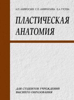 Пластическая анатомия