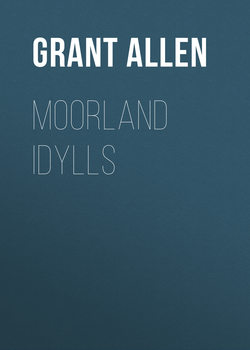 Moorland Idylls