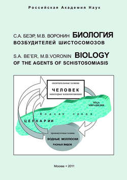 Биология возбудителей шистосомозов