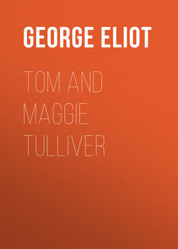 Tom and Maggie Tulliver